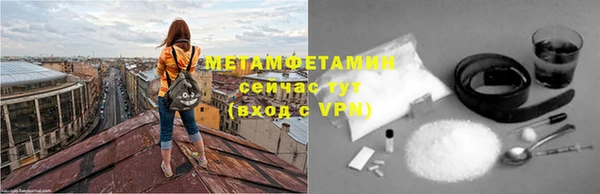 прущие грибы Балабаново