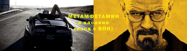прущие грибы Балабаново