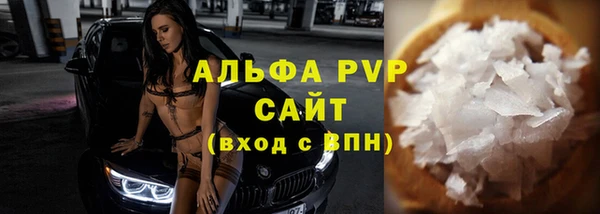 прущие грибы Балабаново