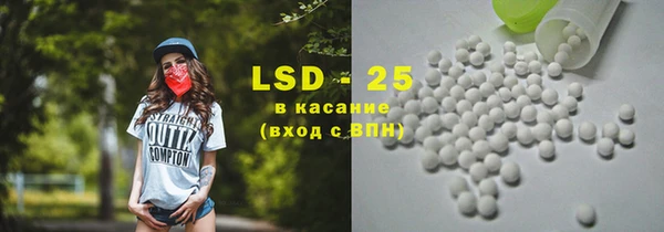 прущие грибы Балабаново