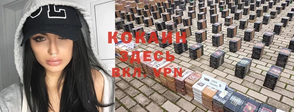 прущие грибы Балабаново