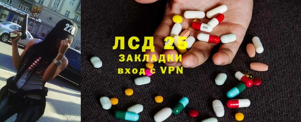 прущие грибы Балабаново