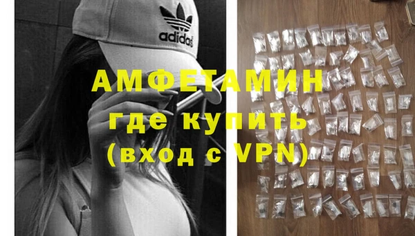 прущие грибы Балабаново