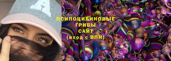 дмт Балахна