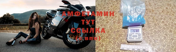 прущие грибы Балабаново