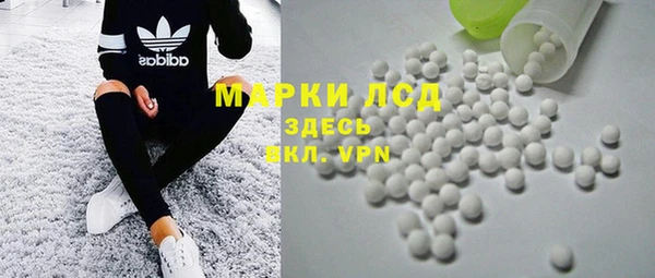 прущие грибы Балабаново